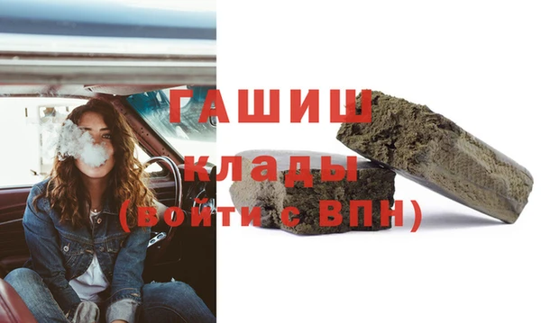 шишки Дмитров