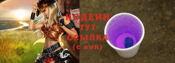 шишки Дмитров
