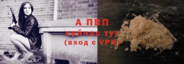 ПСИЛОЦИБИНОВЫЕ ГРИБЫ Дмитровск