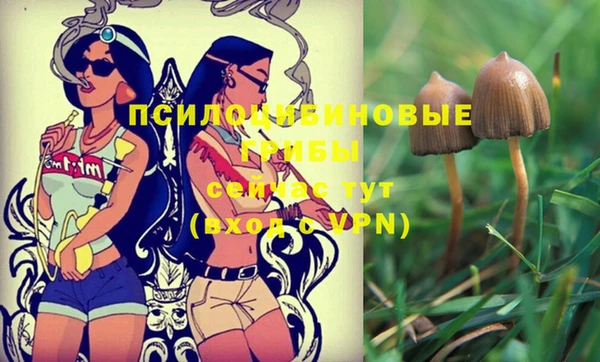 ПСИЛОЦИБИНОВЫЕ ГРИБЫ Дмитровск