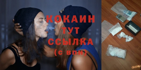 шишки Дмитров