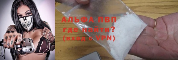 шишки Дмитров
