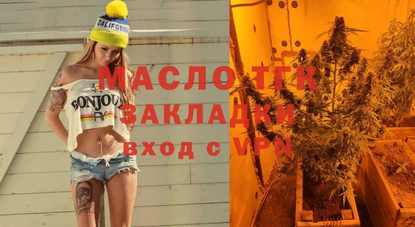 шишки Дмитров