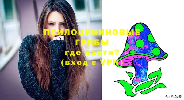 ПСИЛОЦИБИНОВЫЕ ГРИБЫ Дмитровск