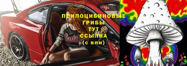 шишки Дмитров