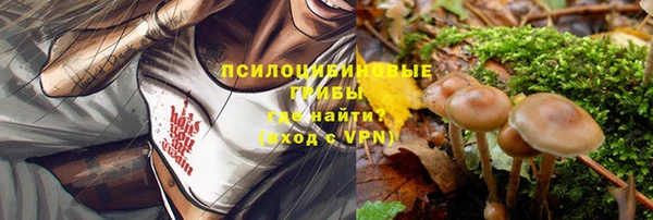 ПСИЛОЦИБИНОВЫЕ ГРИБЫ Дмитровск