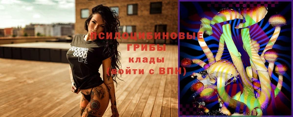 ПСИЛОЦИБИНОВЫЕ ГРИБЫ Дмитровск
