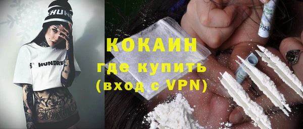 шишки Дмитров