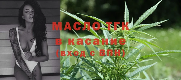 шишки Дмитров